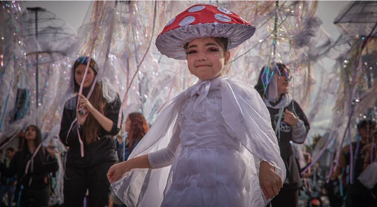  El Festival Reino Fungi es una instancia desarrollada cada año en Pucón, región de La Araucanía. El corazón del proyecto está en su impacto educacional, pero su carácter interdisciplinario permite abordar la funga nativa desde diversos ámbitos. 
